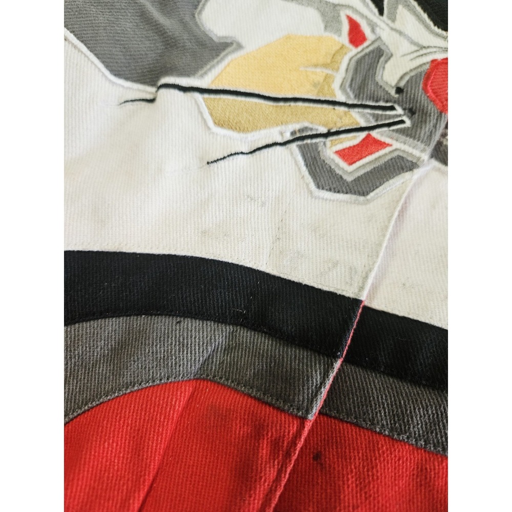 Looney Tunes Lot 29 Premium Wear Sylvester Nascar Youth XL Long Sleeved - Picture 5 of 12